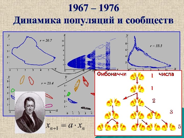 1967 – 1976 Динамика популяций и сообществ 
