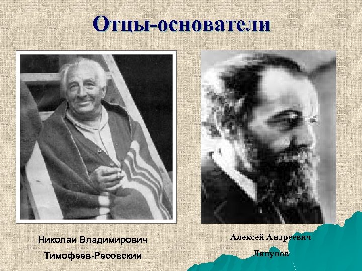 Отцы-основатели Николай Владимирович Алексей Андреевич Тимофеев-Ресовский Ляпунов 