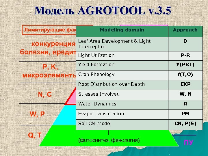 Модель AGROTOOL v. 3. 5 Лимитирующие факторы Продуктивность Modeling domain конкуренция, Leaf Area Development