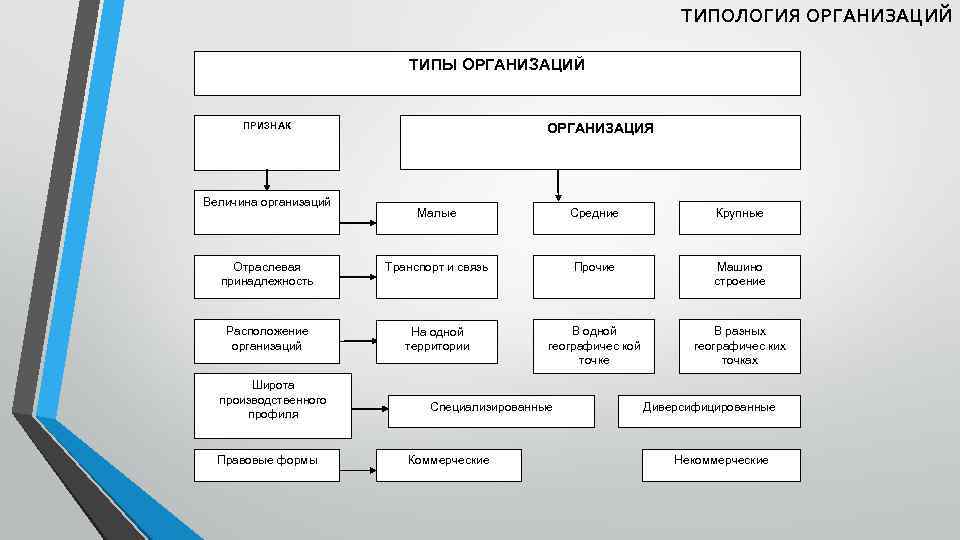 4 типа организации. Типология организации по отраслевому признаку схема. Заполните схему типология организации. Типология организации схема. Типология фирм.