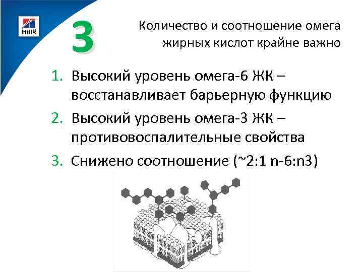 3 Количество и соотношение омега жирных кислот крайне важно 1. Высокий уровень омега-6 ЖК