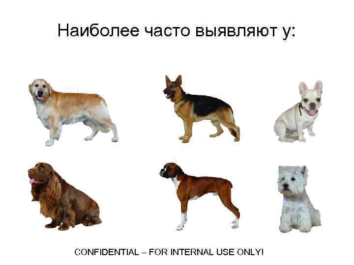 Наиболее часто выявляют у: CONFIDENTIAL – FOR INTERNAL USE ONLY! 