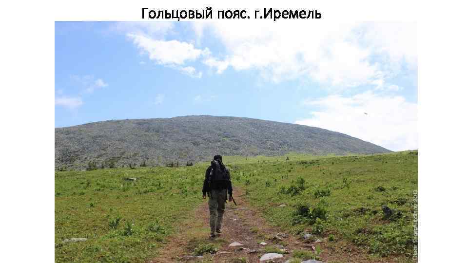 Гольцовый пояс. г. Иремель 