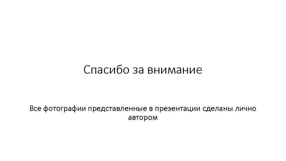 Спасибо за внимание Все фотографии представленные в презентации сделаны лично автором 