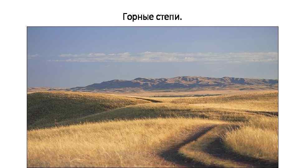 Горные степи. 