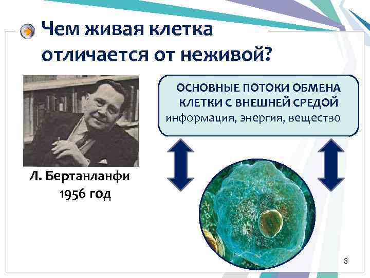 Чем живая клетка отличается от неживой? ОСНОВНЫЕ ПОТОКИ ОБМЕНА КЛЕТКИ С ВНЕШНЕЙ СРЕДОЙ информация,