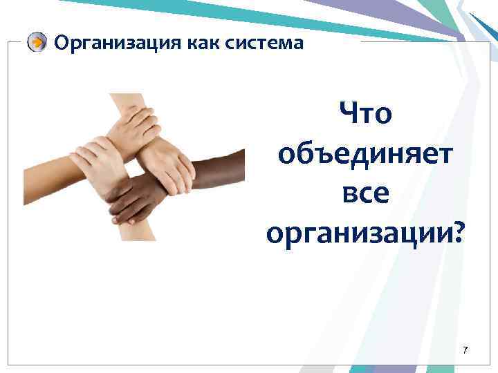 Организация как система Что объединяет все организации? 7 