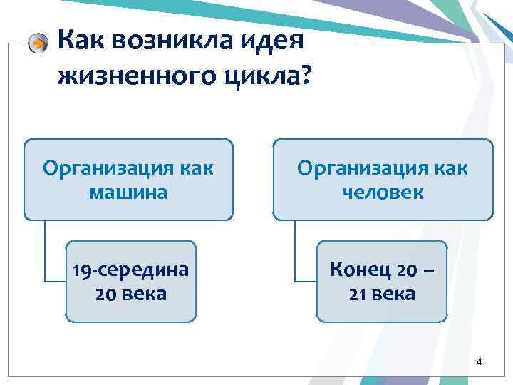 Как возникла идея жизненного цикла? Организация как машина Организация как человек 19 -середина 20