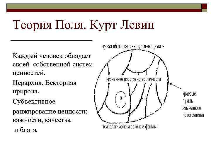 Теория Поля. Курт Левин Каждый человек обладает своей собственной системой ценностей. Иерархия. Векторная природа.