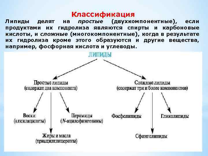 Классификация Липиды делят на простые (двухкомпонентные), если продуктами их гидролиза являются спирты и карбоновые