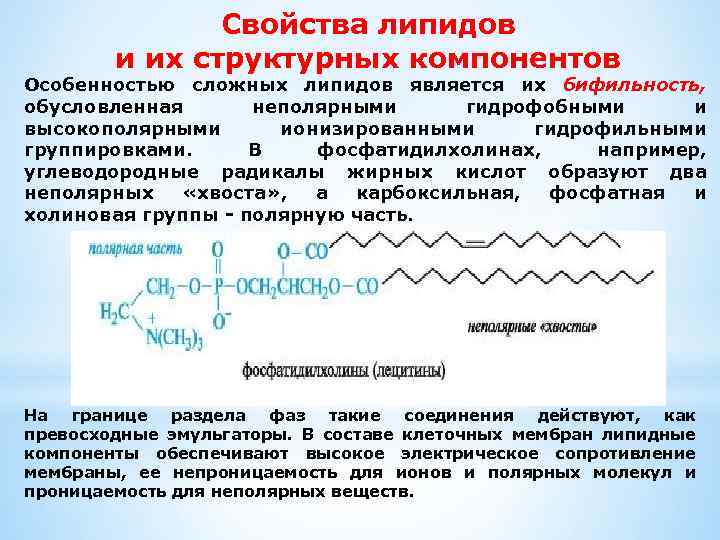 Свойства липидов и их структурных компонентов Особенностью сложных липидов является их бифильность, обусловленная неполярными