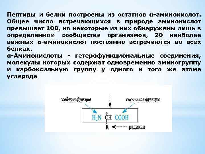 Пептиды и белки построены из остатков α-аминокислот. Общее число встречающихся в природе аминокислот превышает