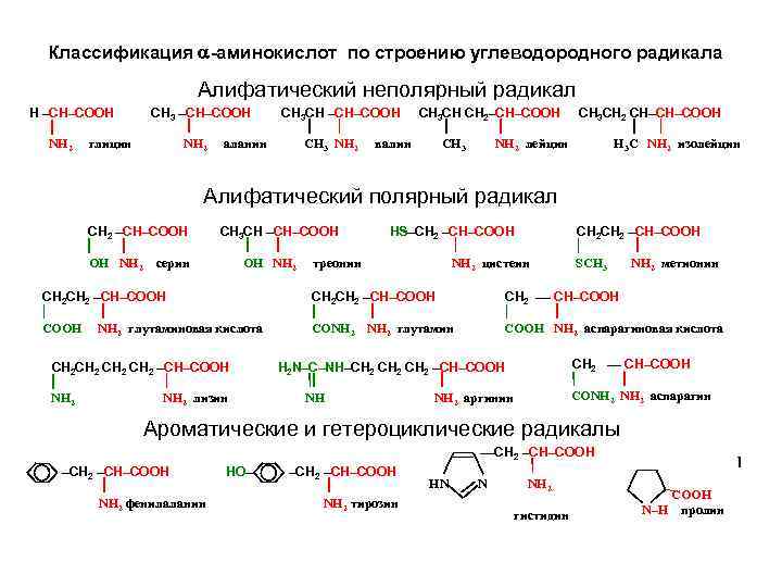 Классификация -аминокислот по строению углеводородного радикала Алифатический неполярный радикал Н –СН–СООН NH 2 СН