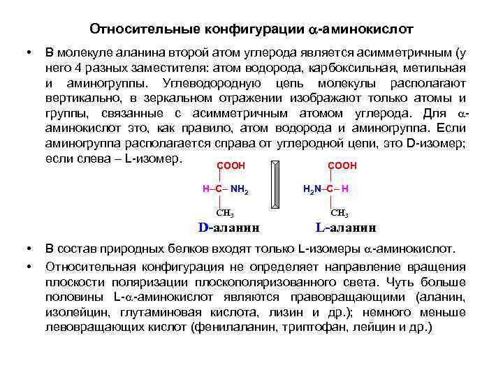 Относительные конфигурации -аминокислот • В молекуле аланина второй атом углерода является асимметричным (у него