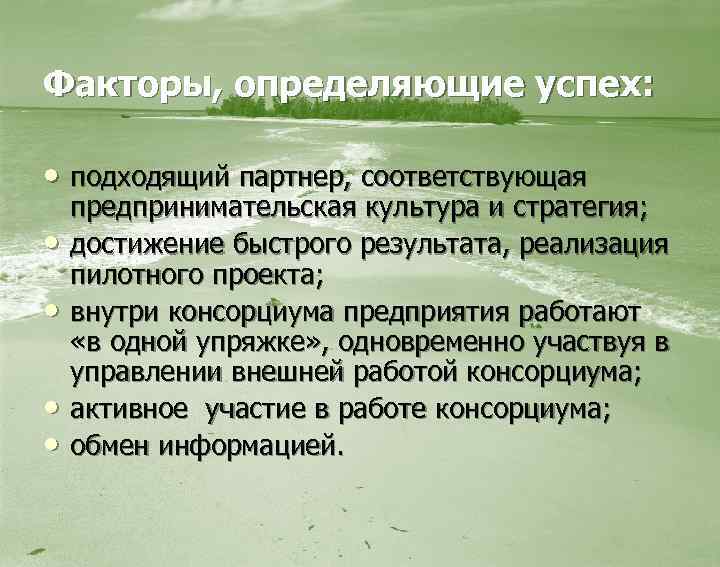 Факторы, определяющие успех: • подходящий партнер, соответствующая • • предпринимательская культура и стратегия; достижение