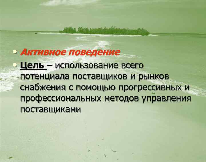  • Активное поведение • Цель – использование всего потенциала поставщиков и рынков снабжения