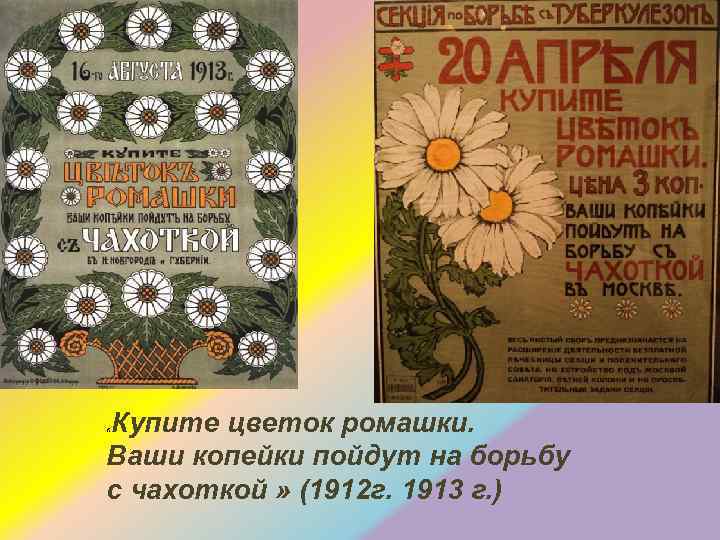 Купите цветок ромашки. Ваши копейки пойдут на борьбу с чахоткой » (1912 г. 1913