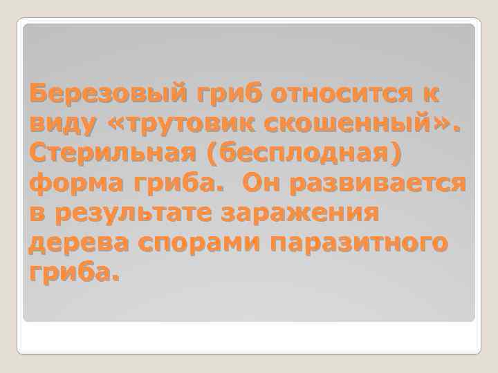 Березовый гриб относится к виду «трутовик скошенный» . Стерильная (бесплодная) форма гриба. Он развивается