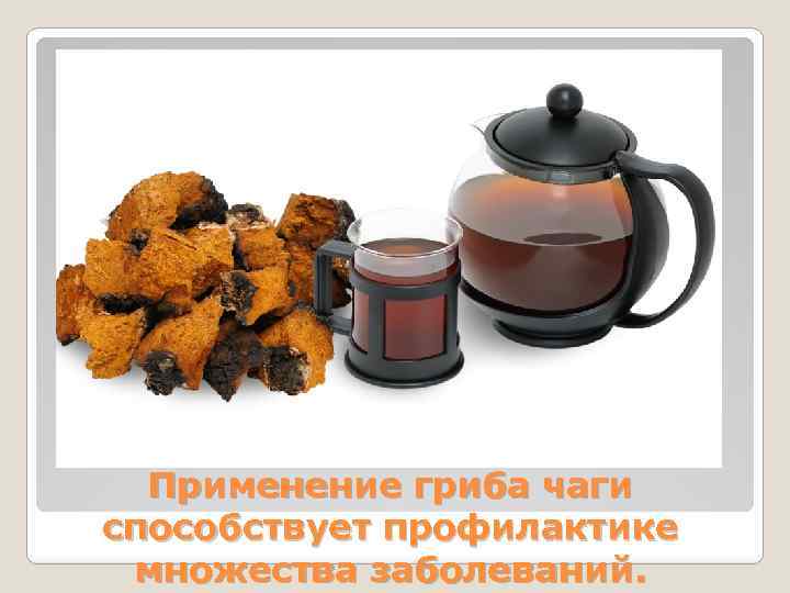 Применение гриба чаги способствует профилактике множества заболеваний. 