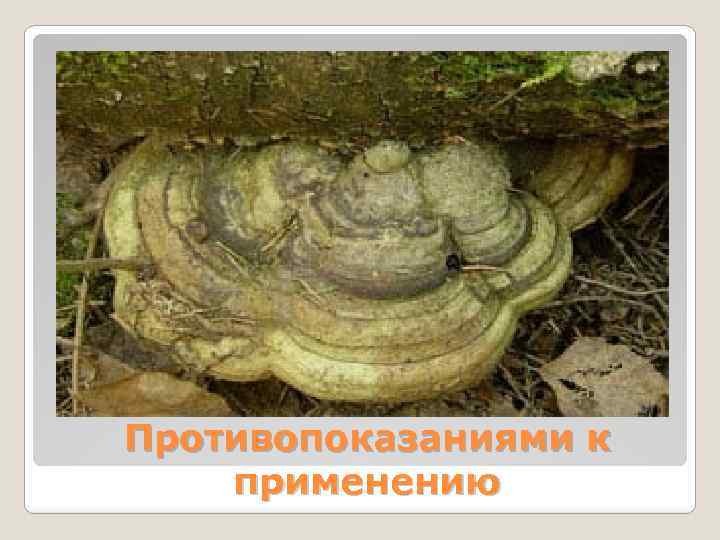 Противопоказаниями к применению 