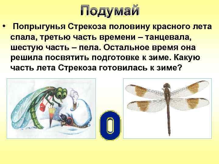 Подумай • Попрыгунья Стрекоза половину красного лета спала, третью часть времени – танцевала, шестую