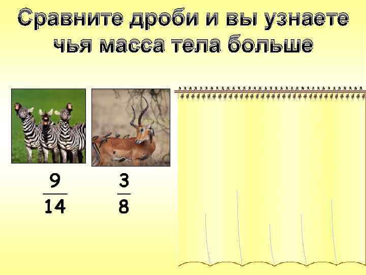 Сравните дроби и вы узнаете чья масса тела больше > 