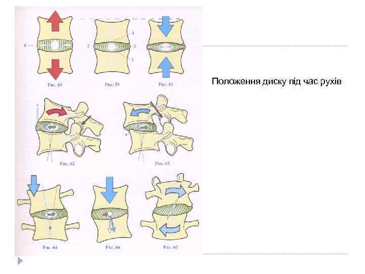 Положення диску під час рухів 