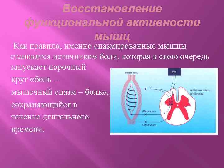 Восстановление функциональной активности мышц Как правило, именно спазмированные мышцы становятся источником боли, которая в