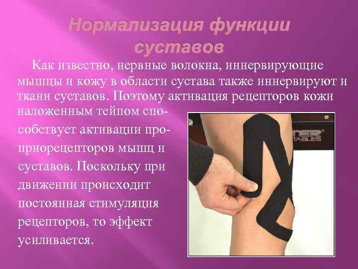 Нормализация функции суставов Как известно, нервные волокна, иннервирующие мышцы и кожу в области сустава