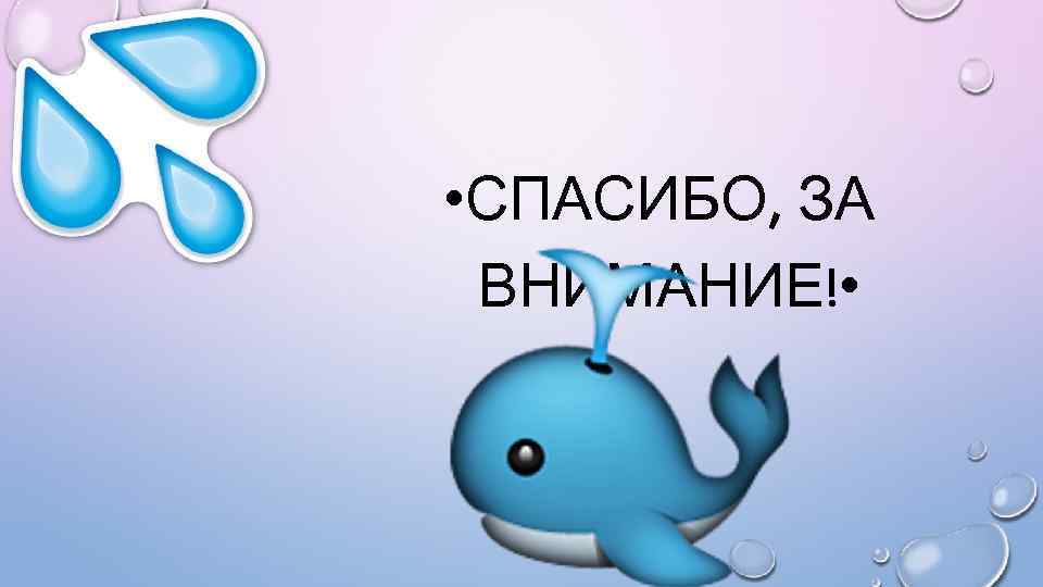  • СПАСИБО, ЗА ВНИМАНИЕ! • 