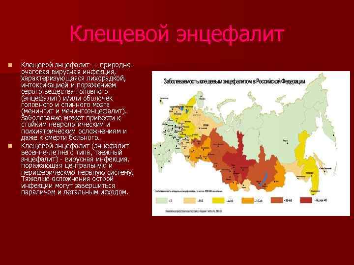Клещевой энцефалит n n Клещевой энцефалит — природноочаговая вирусная инфекция, характеризующаяся лихорадкой, интоксикацией и