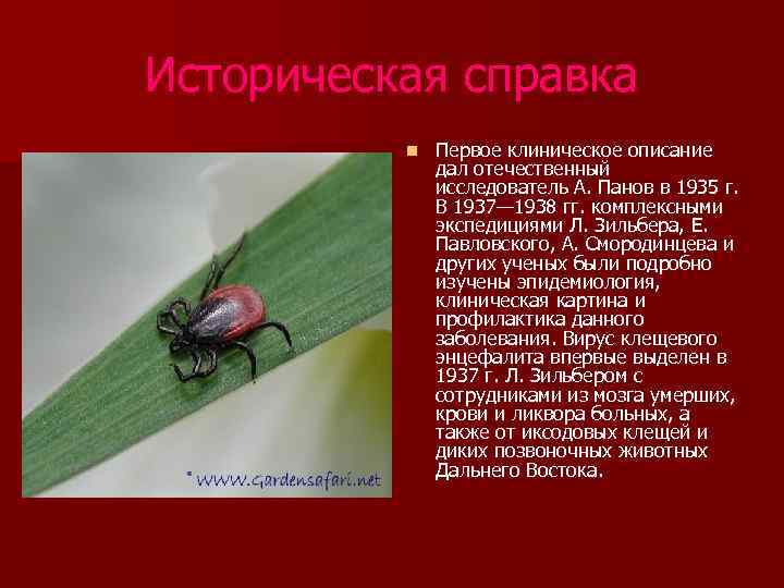 Историческая справка n Первое клиническое описание дал отечественный исследователь А. Панов в 1935 г.