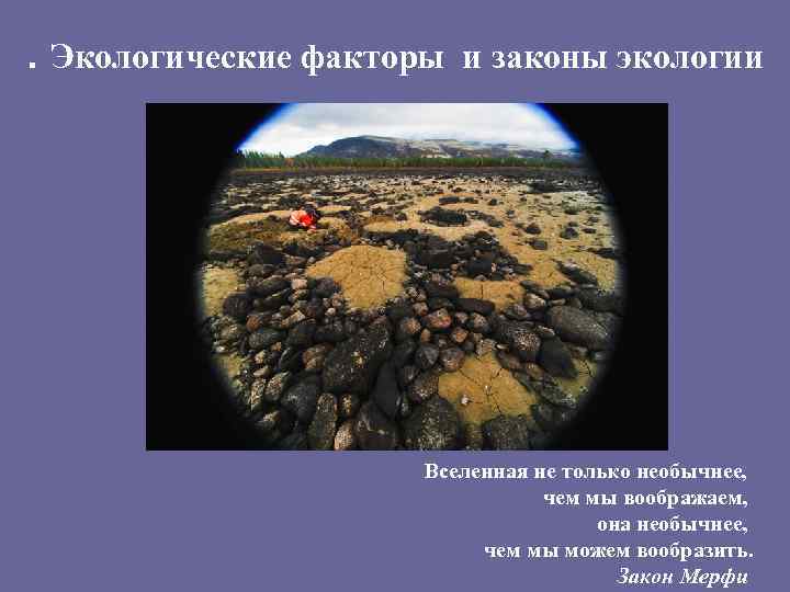 . Экологические факторы и законы экологии Вселенная не только необычнее, чем мы воображаем, она