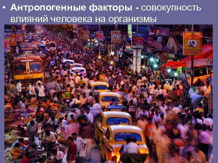  • Антропогенные факторы - совокупность влияний человека на организмы 