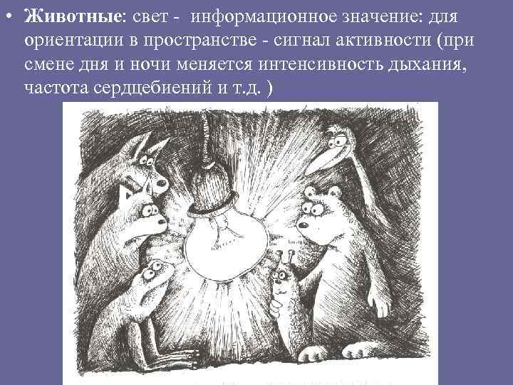  • Животные: свет - информационное значение: для ориентации в пространстве - сигнал активности