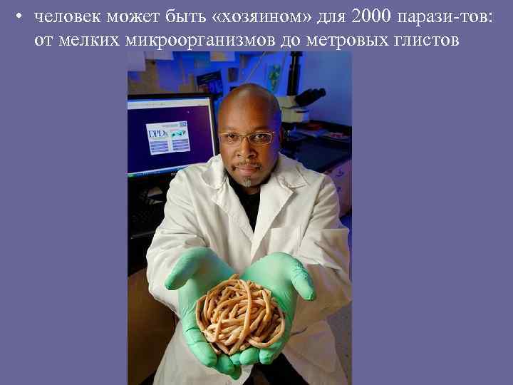  • человек может быть «хозяином» для 2000 парази-тов: от мелких микроорганизмов до метровых