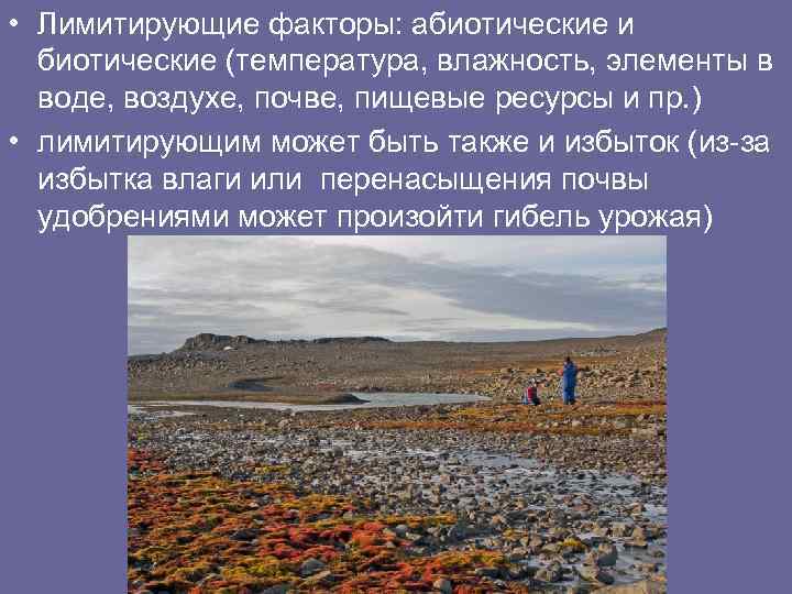  • Лимитирующие факторы: абиотические и биотические (температура, влажность, элементы в воде, воздухе, почве,