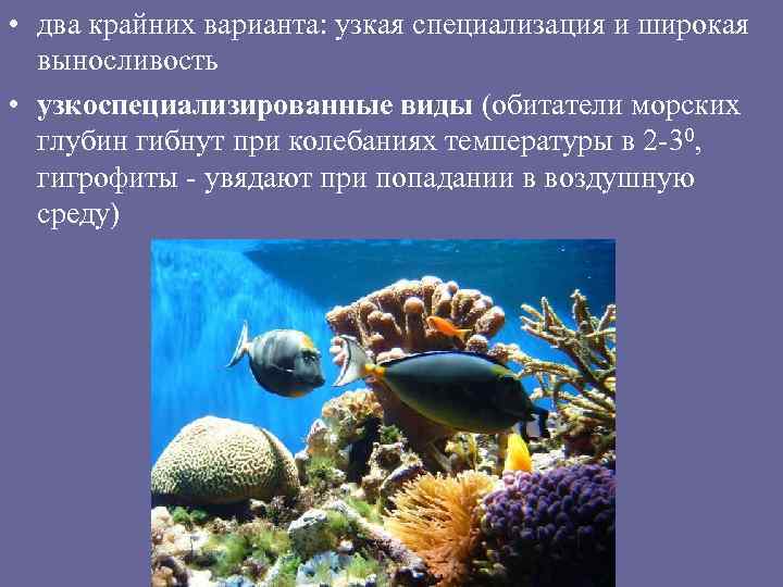  • два крайних варианта: узкая специализация и широкая выносливость • узкоспециализированные виды (обитатели