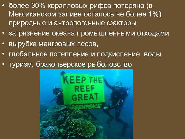  • более 30% коралловых рифов потеряно (в Мексиканском заливе осталось не более 1%):