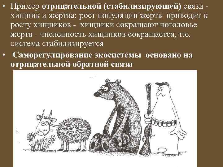  • Пример отрицательной (стабилизирующей) связи хищник и жертва: рост популяции жертв приводит к