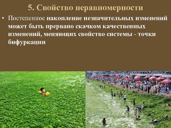 5. Свойство неравномерности • Постепенное накопление незначительных изменений может быть прервано скачком качественных изменений,