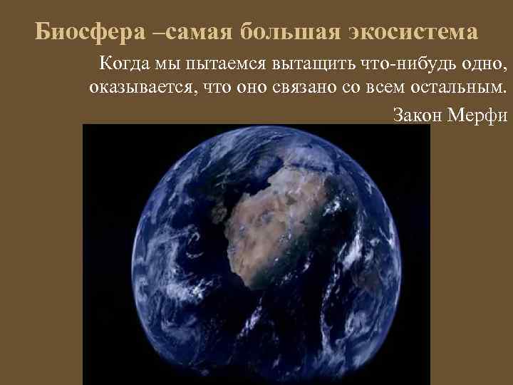 Составьте развернутый план параграфа биосфера глобальная экосистема