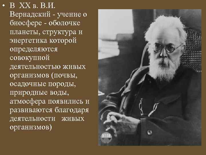  • В ХХ в. В. И. Вернадский - учение о биосфере - оболочке
