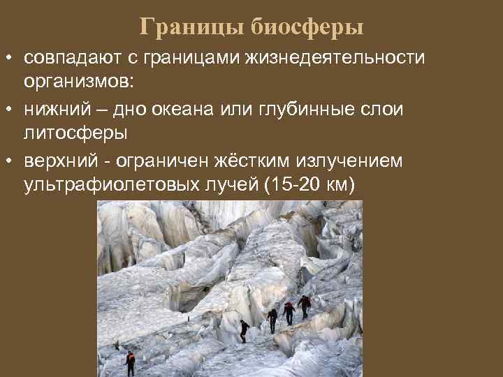 Границы биосферы • совпадают с границами жизнедеятельности организмов: • нижний – дно океана или