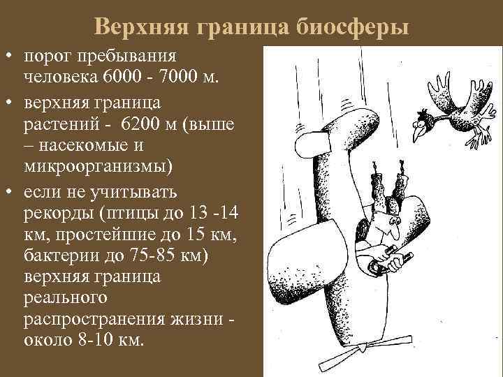 Верхняя граница биосферы • порог пребывания человека 6000 - 7000 м. • верхняя граница