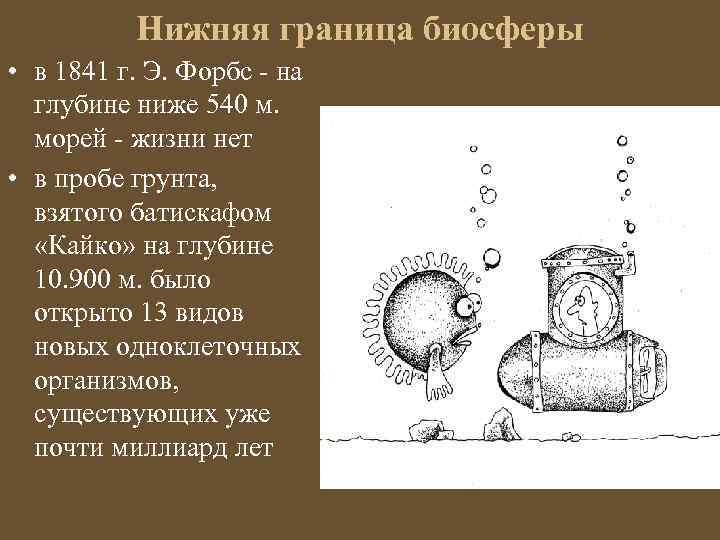 Нижняя граница биосферы • в 1841 г. Э. Форбс - на глубине ниже 540