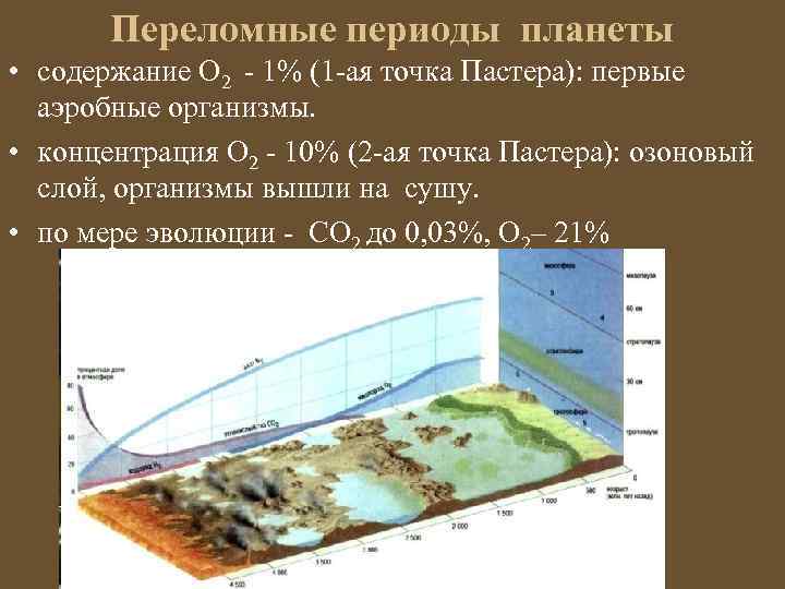 Переломные периоды планеты • содержание О 2 - 1% (1 -ая точка Пастера): первые