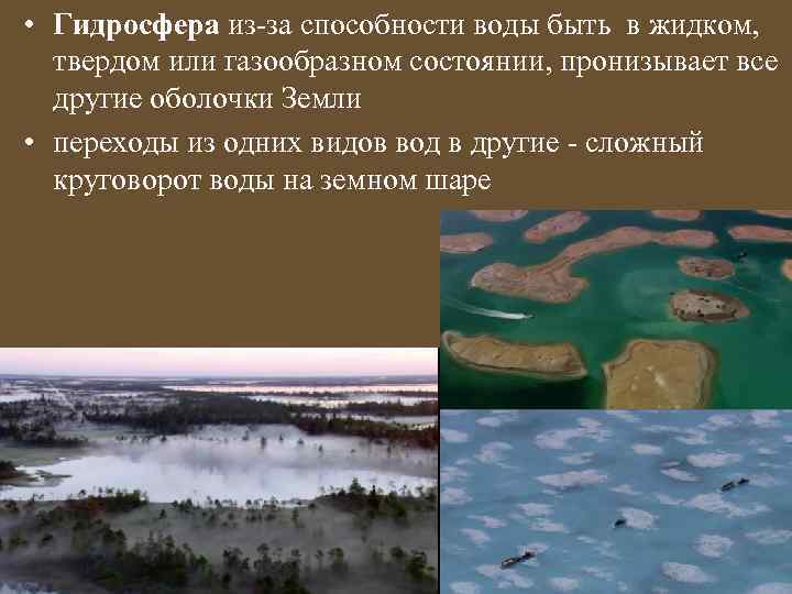  • Гидросфера из-за способности воды быть в жидком, твердом или газообразном состоянии, пронизывает