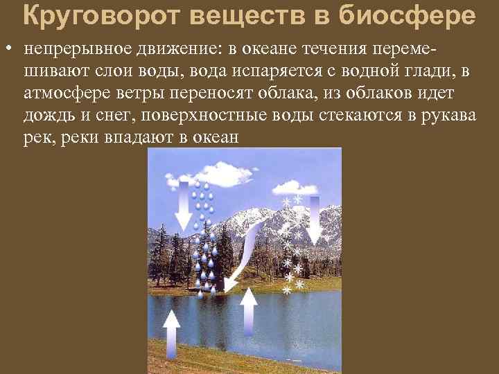 Круговорот веществ в биосфере • непрерывное движение: в океане течения перемешивают слои воды, вода