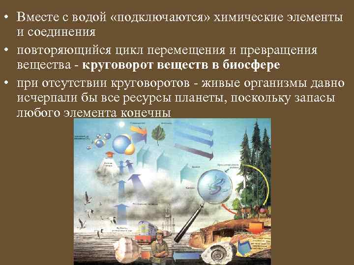  • Вместе с водой «подключаются» химические элементы и соединения • повторяющийся цикл перемещения